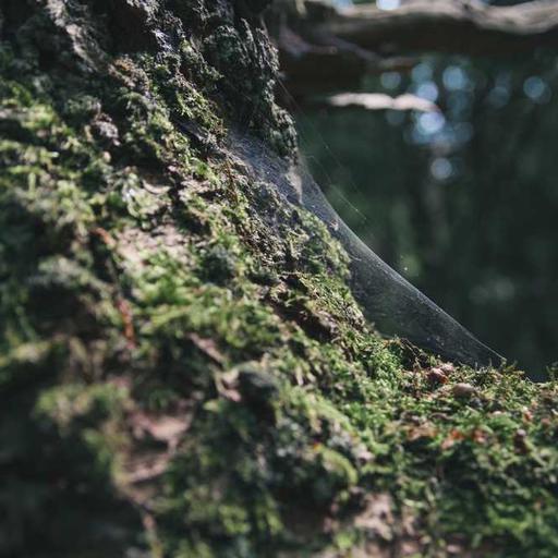 Menjelajahi Jalanan Kota Melalui Petualangan Kuliner Malam